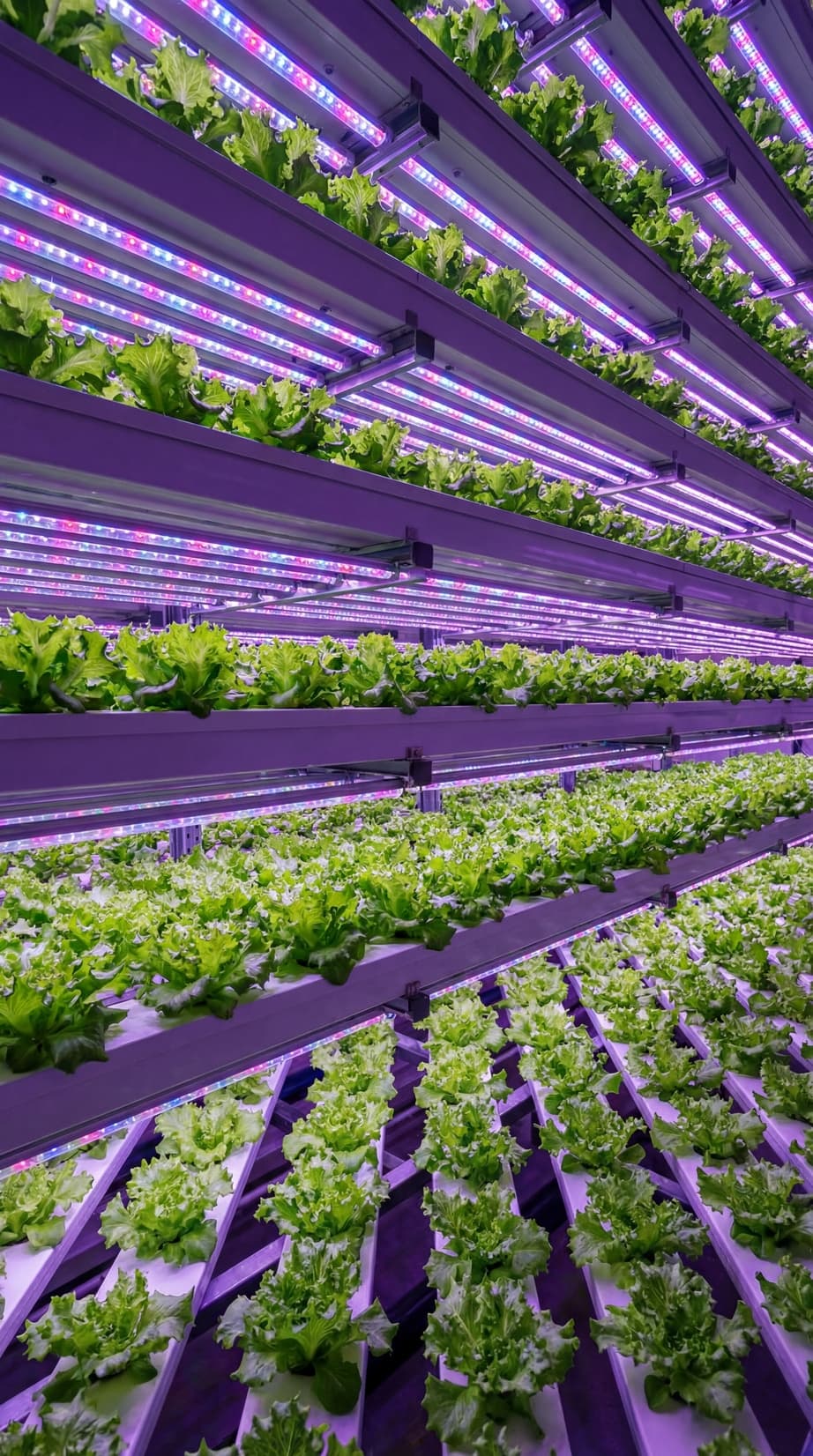 Vertical Farming